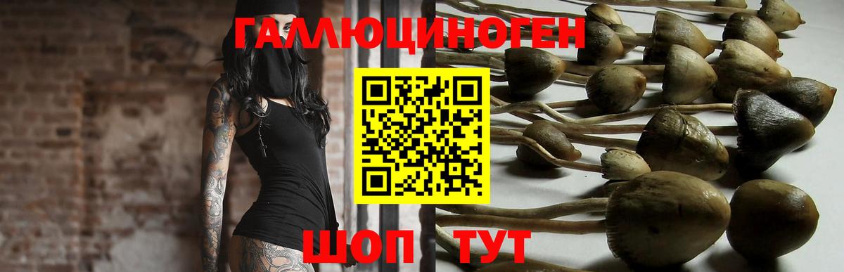 Галлюциногенные грибы MAGIC MUSHROOMS  Вход с VPN  Камышлов 
